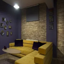 Geleceğin Özgün Mimarisinde Doğal Dokular: Salon Duvar Kaplamaları